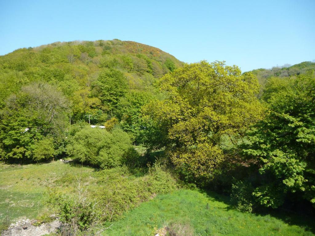Score Valley Country House Ilfracombe Rom bilde